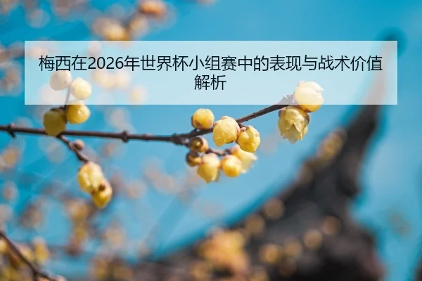 mei-xi-zai-nian-shi-jie-bei-xiao-zu-sai-zhong-de-biao-xian-yu-zhan-shu-jia-zhi-jie-xi-2-277.jpg