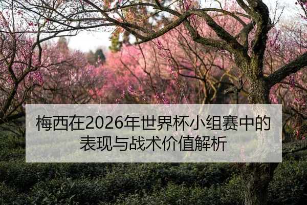 梅西在2026年世界杯小组赛中的表现与战术价值解析