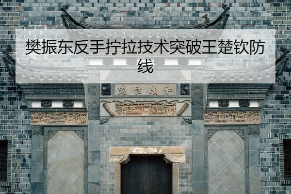 fan-zhen-dong-fan-shou-ning-la-ji-shu-tu-po-wang-chu-qin-fang-xian-2-799.jpg