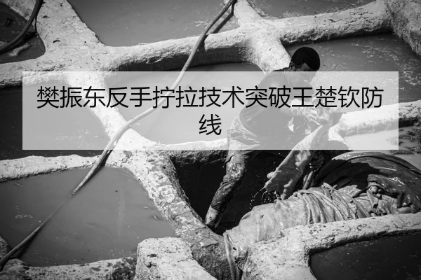 fan-zhen-dong-fan-shou-ning-la-ji-shu-tu-po-wang-chu-qin-fang-xian-3-526.jpg