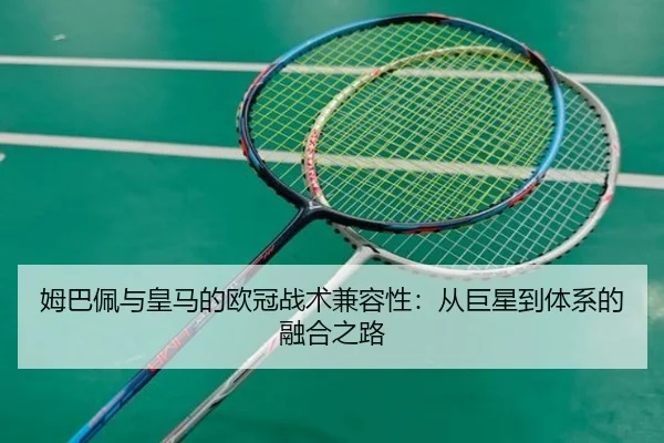 mu-ba-pei-yu-huang-ma-de-ou-guan-zhan-shu-jian-rong-xing-cong-ju-xing-dao-ti-xi-de-rong-he-zhi-lu-3-933.jpg