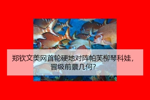 zheng-qin-wen-mei-wang-shou-lun-ying-di-dui-zhen-pa-fu-liu-qin-ke-wa-jin-ji-qian-jing-ji-he-2-747.jpg