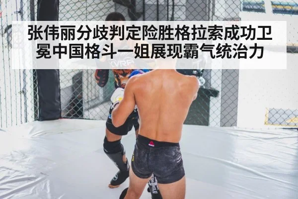 MMA cage fight